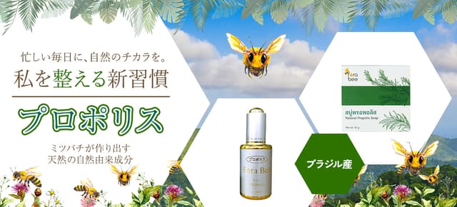毎日を支える蜜蜂の恵み