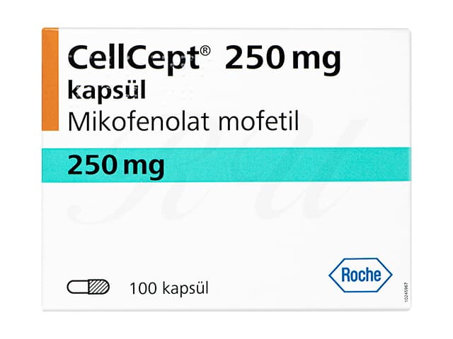セルセプト250mg 【1箱100カプセル】