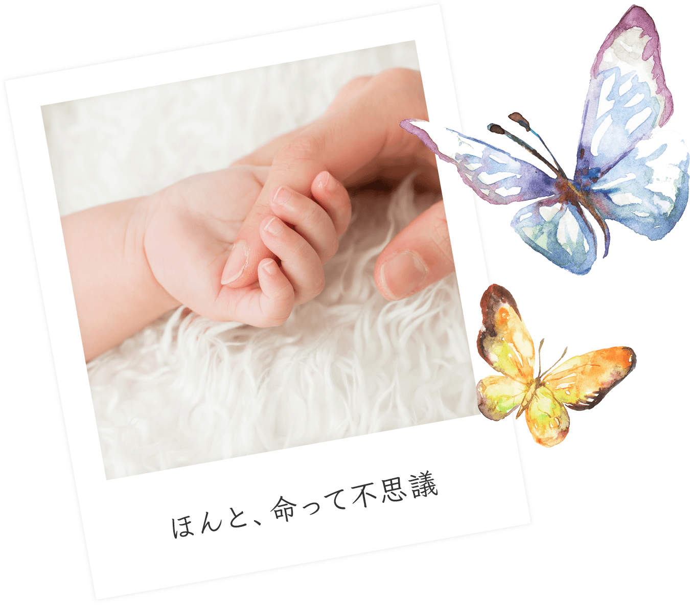 ほんと、命って不思議