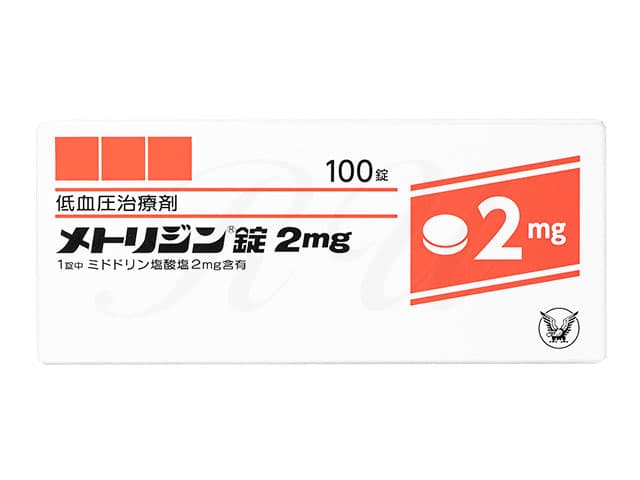メトリジン錠2mg 【1箱100錠】