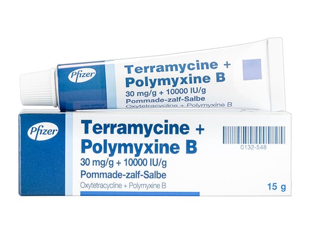 テラマイシン+ポリミキシンB眼軟膏30mg+10000IU 【1本15g】