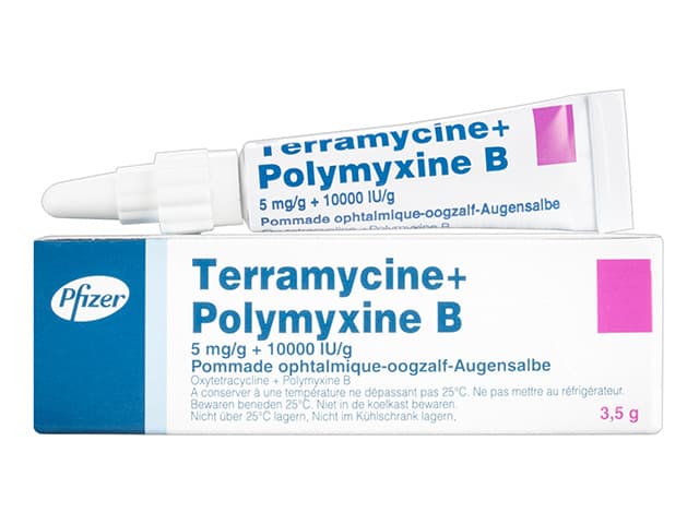 テラマイシン+ポリミキシンB眼軟膏5mg+10000IU 【1本3.5g】